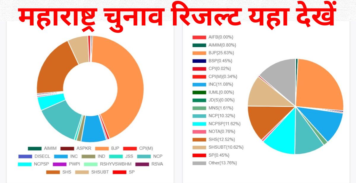 Maharashtra Vidhan Sabha Election Result NVSP